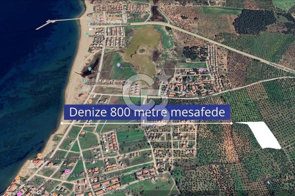 Çanakkale Geyikli'de Satılık Zeytinlik! Bozcaada Manzaralı