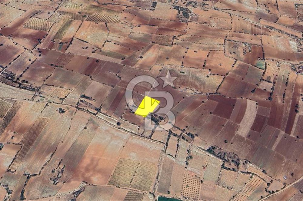 Denizli Güney Cindere De Satılık 7.250 M² Adaçayı Bahçesi 