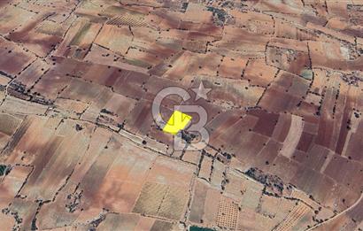 Denizli Güney Cindere De Satılık 7.250 M² Adaçayı Bahçesi 