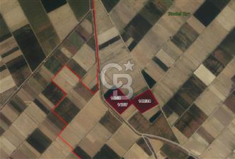 Çal Yukarıseyit de Toplamda 96.580 M² Satılık Sulak Arazi