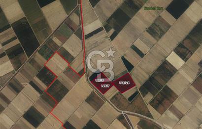 Çal Yukarıseyit de Toplamda 96.580 M² Satılık Sulak Arazi