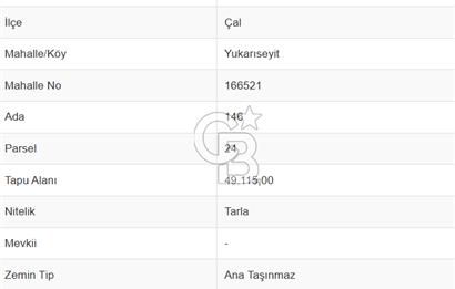 Çal Yukarıseyit de Toplamda 96.580 M² Satılık Sulak Arazi