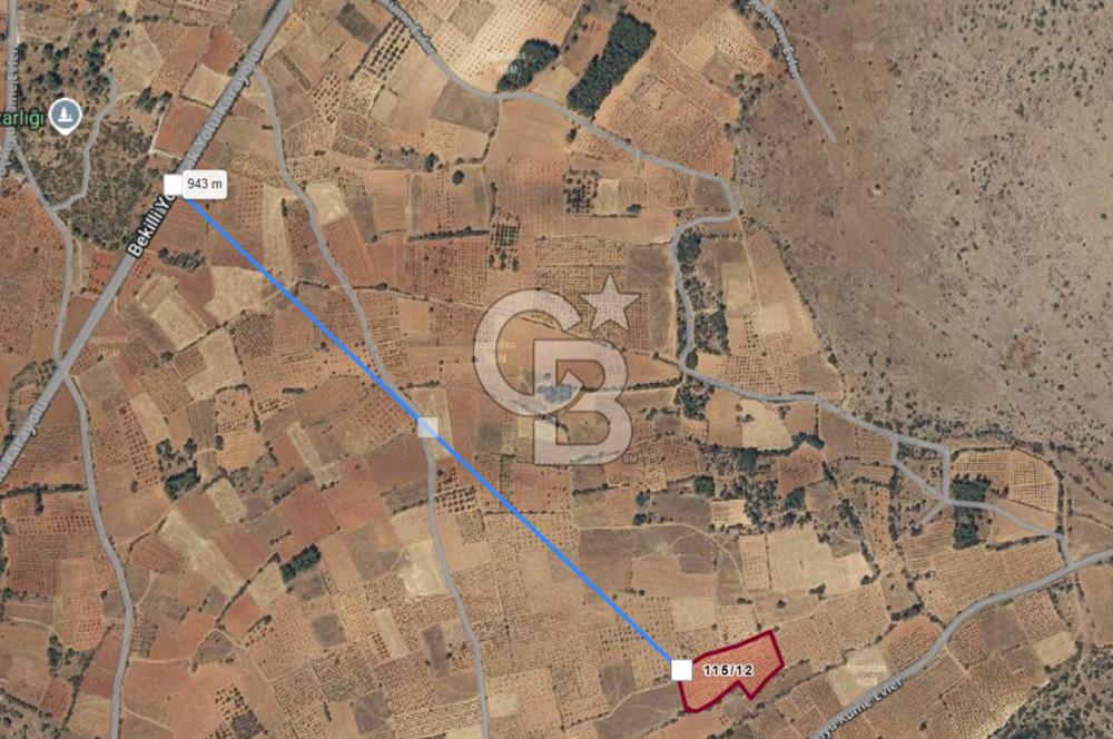 Bekilli Üçkuyu da Satılık 8.199 M² Bağ