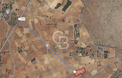 Bekilli Üçkuyu da Satılık 8.199 M² Bağ