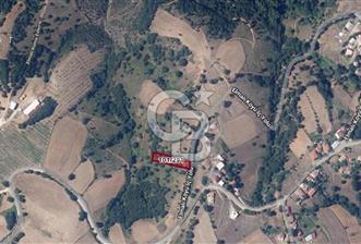 Çanakkale Biga'ya 13 Km Mesafede 1132 M² %40 İmarlı Satılık Arsa