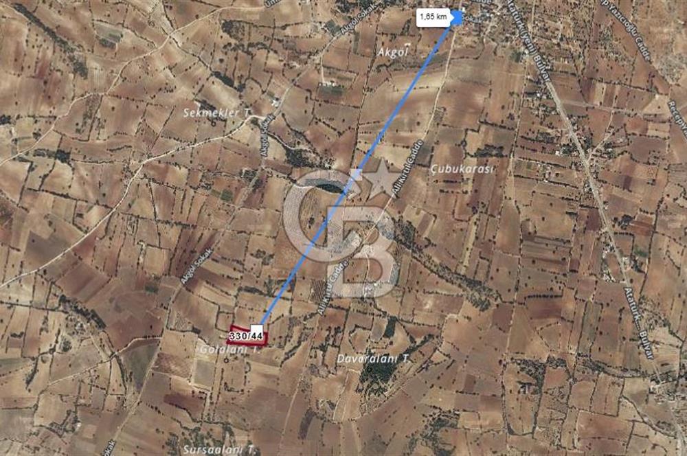 Pamukkale Gözler Satılık 10 Dönüm Ceviz Ve Üzüm Bağı 