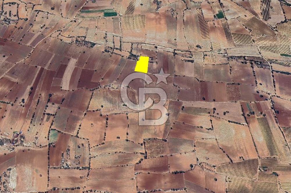 Denizli Güney Cindere De Satılık 7.250 M² Adaçayı Bahçesi 