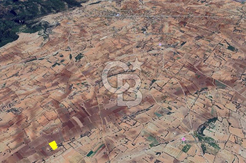Denizli Güney Cindere De Satılık 7.250 M² Adaçayı Bahçesi 