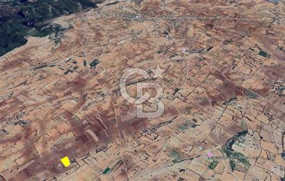 Denizli Güney Cindere De Satılık 7.250 M² Adaçayı Bahçesi 