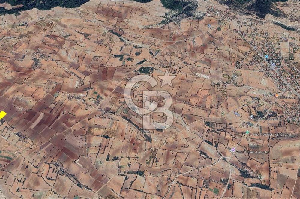 Denizli Güney Cindere De Satılık 7.250 M² Adaçayı Bahçesi 