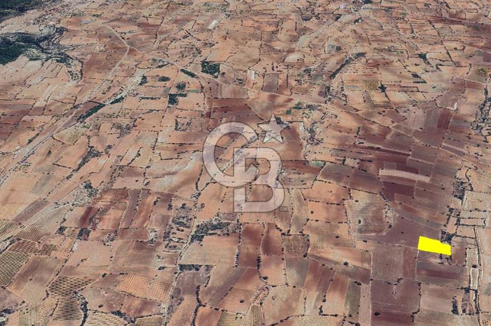 Denizli Güney Cindere De Satılık 7.250 M² Adaçayı Bahçesi 