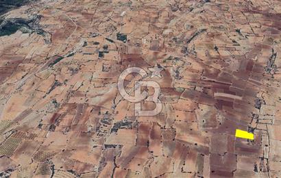 Denizli Güney Cindere De Satılık 7.250 M² Adaçayı Bahçesi 