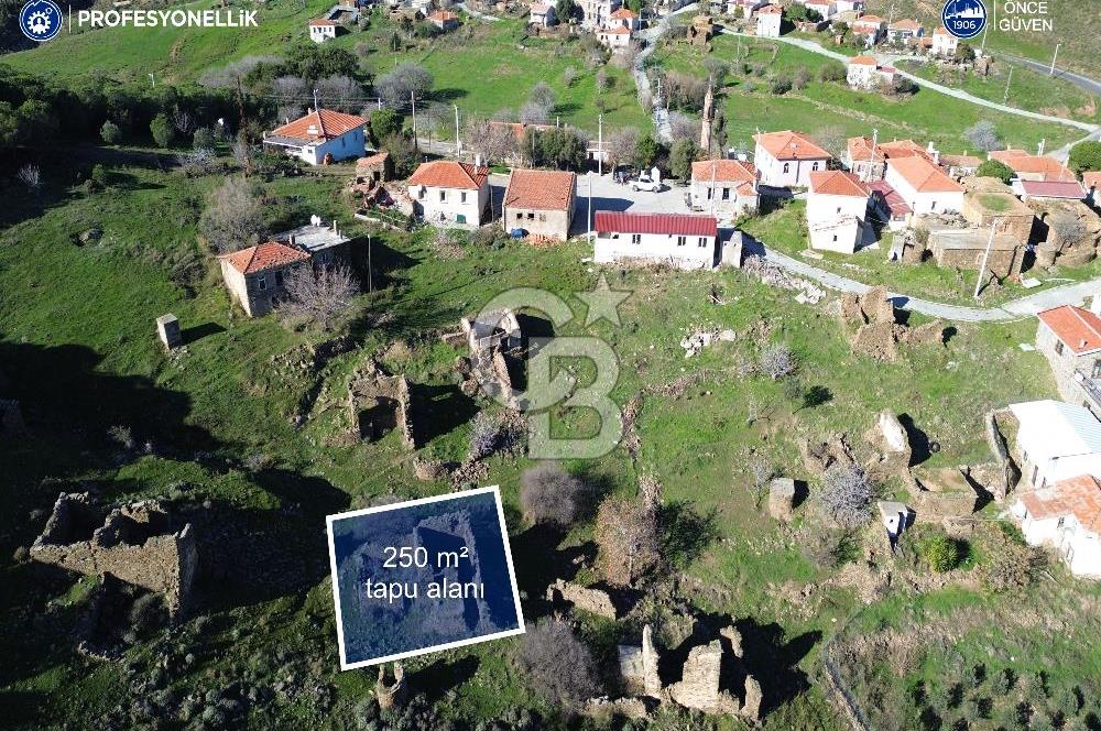 Karaburun Parlak Mahallesi'nde 250 m2 Yıkık Taş Ev ve Avlusu