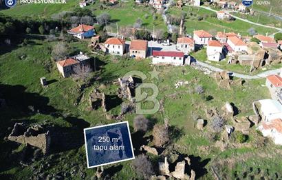 Karaburun Parlak Mahallesi'nde 250 m2 Yıkık Taş Ev ve Avlusu