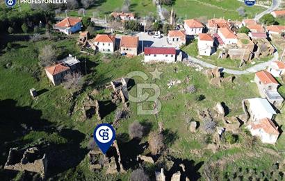 Karaburun Parlak Mahallesi'nde 250 m2 Yıkık Taş Ev ve Avlusu
