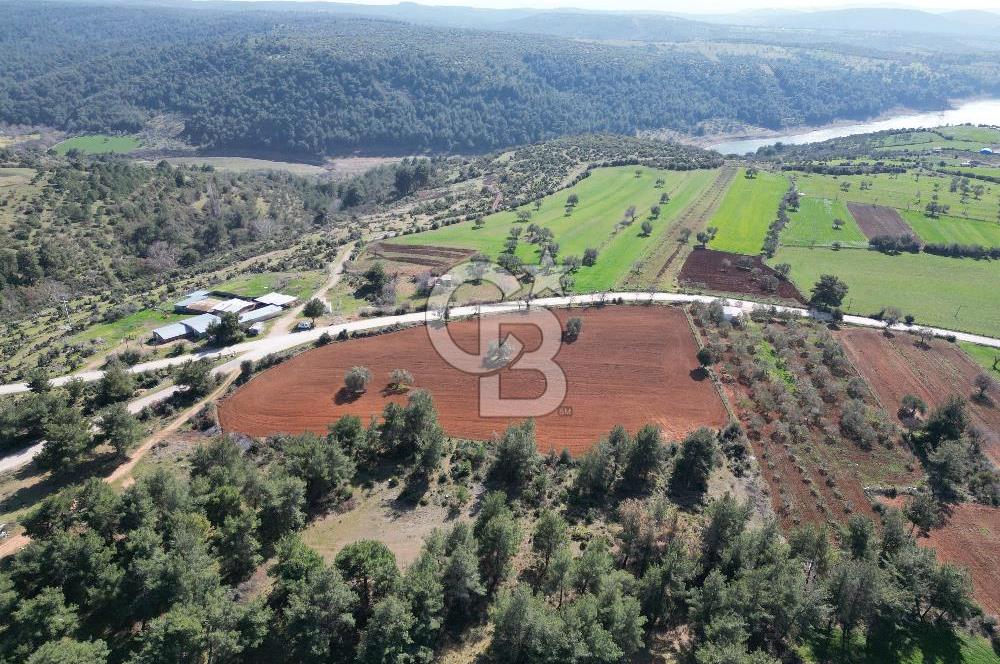 ÇANAKKALE CİVLER KÖYÜ BAĞ EVİ YAPIMINA UYGUN SATILIK ARAZİ