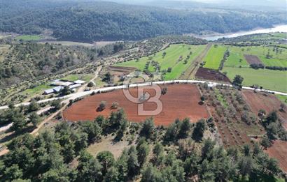ÇANAKKALE CİVLER KÖYÜ BAĞ EVİ YAPIMINA UYGUN SATILIK ARAZİ
