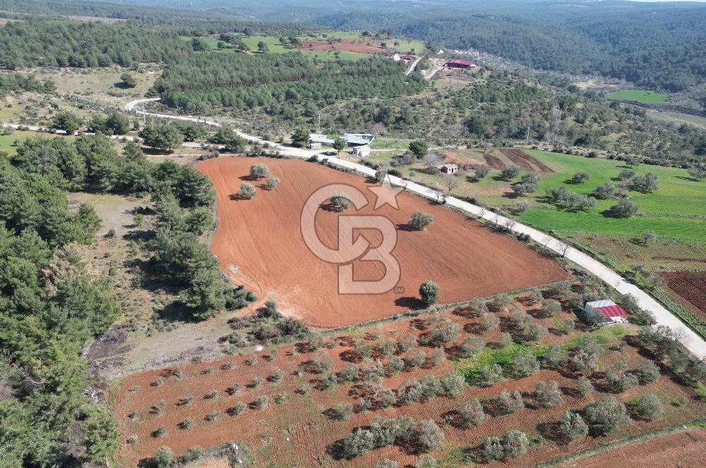 ÇANAKKALE CİVLER KÖYÜ BAĞ EVİ YAPIMINA UYGUN SATILIK ARAZİ