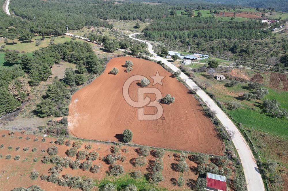 ÇANAKKALE CİVLER KÖYÜ BAĞ EVİ YAPIMINA UYGUN SATILIK ARAZİ