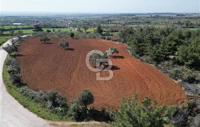ÇANAKKALE CİVLER KÖYÜ BAĞ EVİ YAPIMINA UYGUN SATILIK ARAZİ