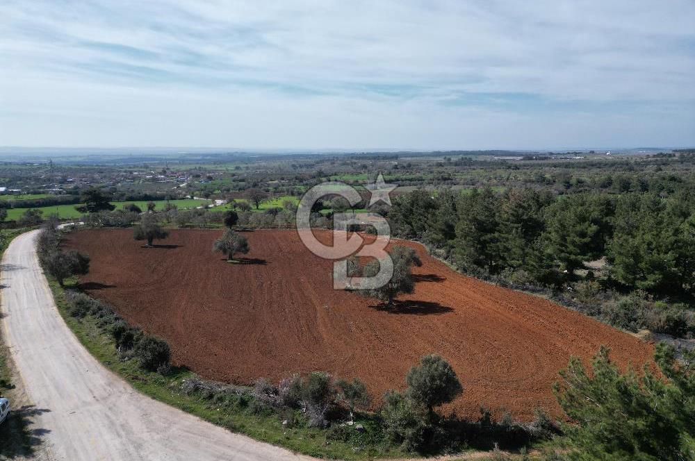 ÇANAKKALE CİVLER KÖYÜ BAĞ EVİ YAPIMINA UYGUN SATILIK ARAZİ