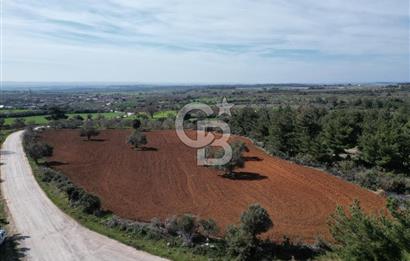 ÇANAKKALE CİVLER KÖYÜ BAĞ EVİ YAPIMINA UYGUN SATILIK ARAZİ