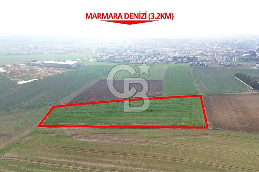Marmaraereğlisi/Yeniçiftlik’te Tek Tapu Satılık Tarla