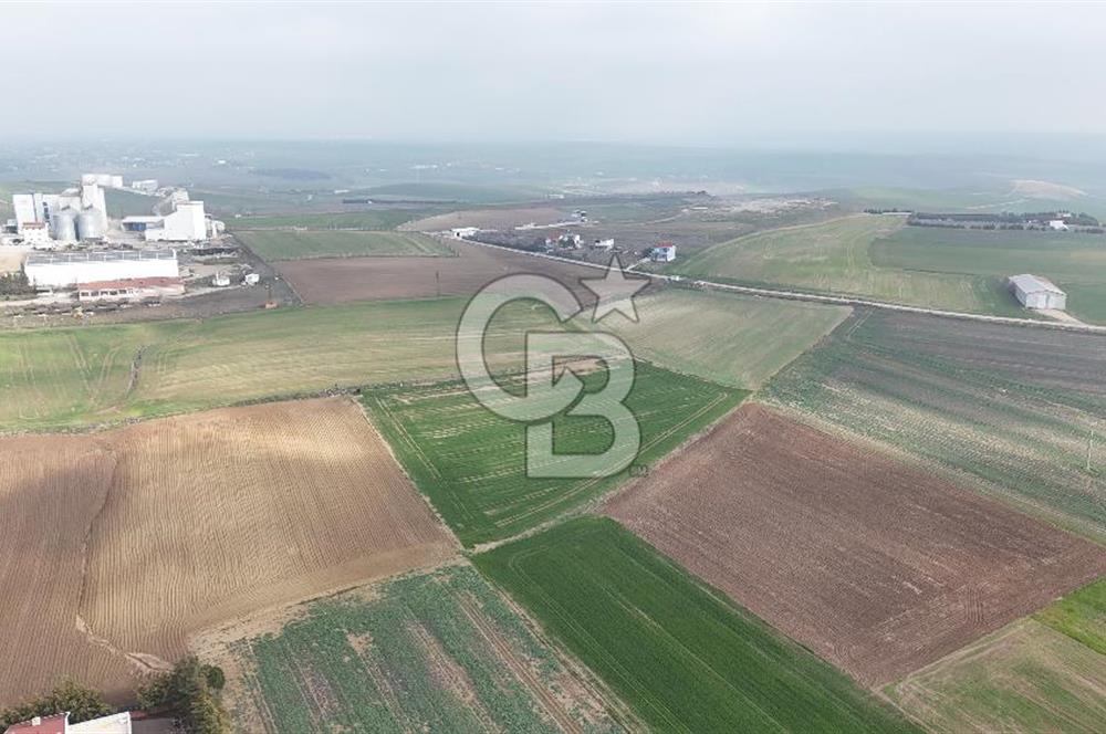 Marmaraereğlisi/Yeniçiftlik’te Tek Tapu Satılık Tarla
