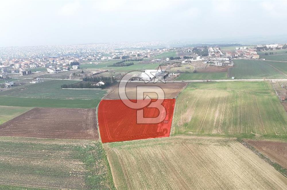 Marmaraereğlisi/Yeniçiftlik’te Tek Tapu Satılık Tarla