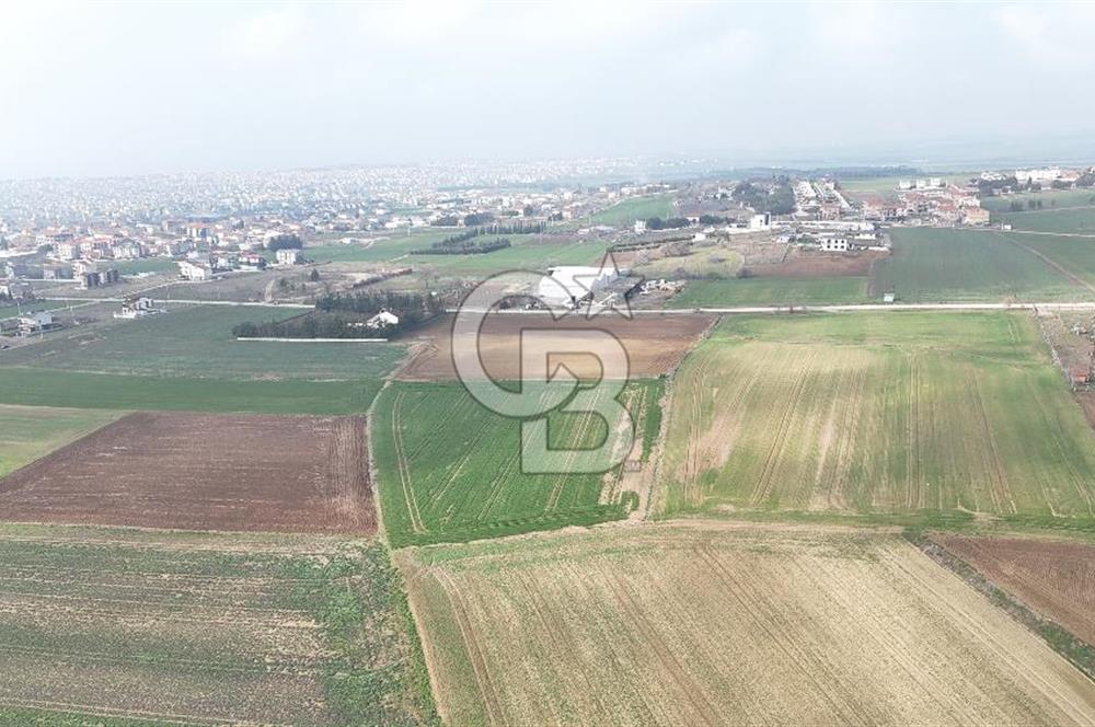Marmaraereğlisi/Yeniçiftlik’te Tek Tapu Satılık Tarla