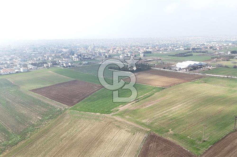 Marmaraereğlisi/Yeniçiftlik’te Tek Tapu Satılık Tarla
