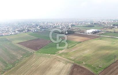 Marmaraereğlisi/Yeniçiftlik’te Tek Tapu Satılık Tarla