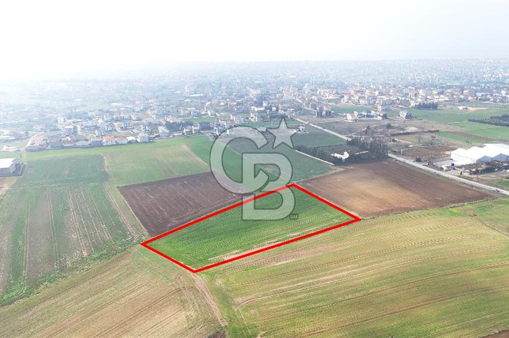 Marmaraereğlisi/Yeniçiftlik’te Tek Tapu Satılık Tarla