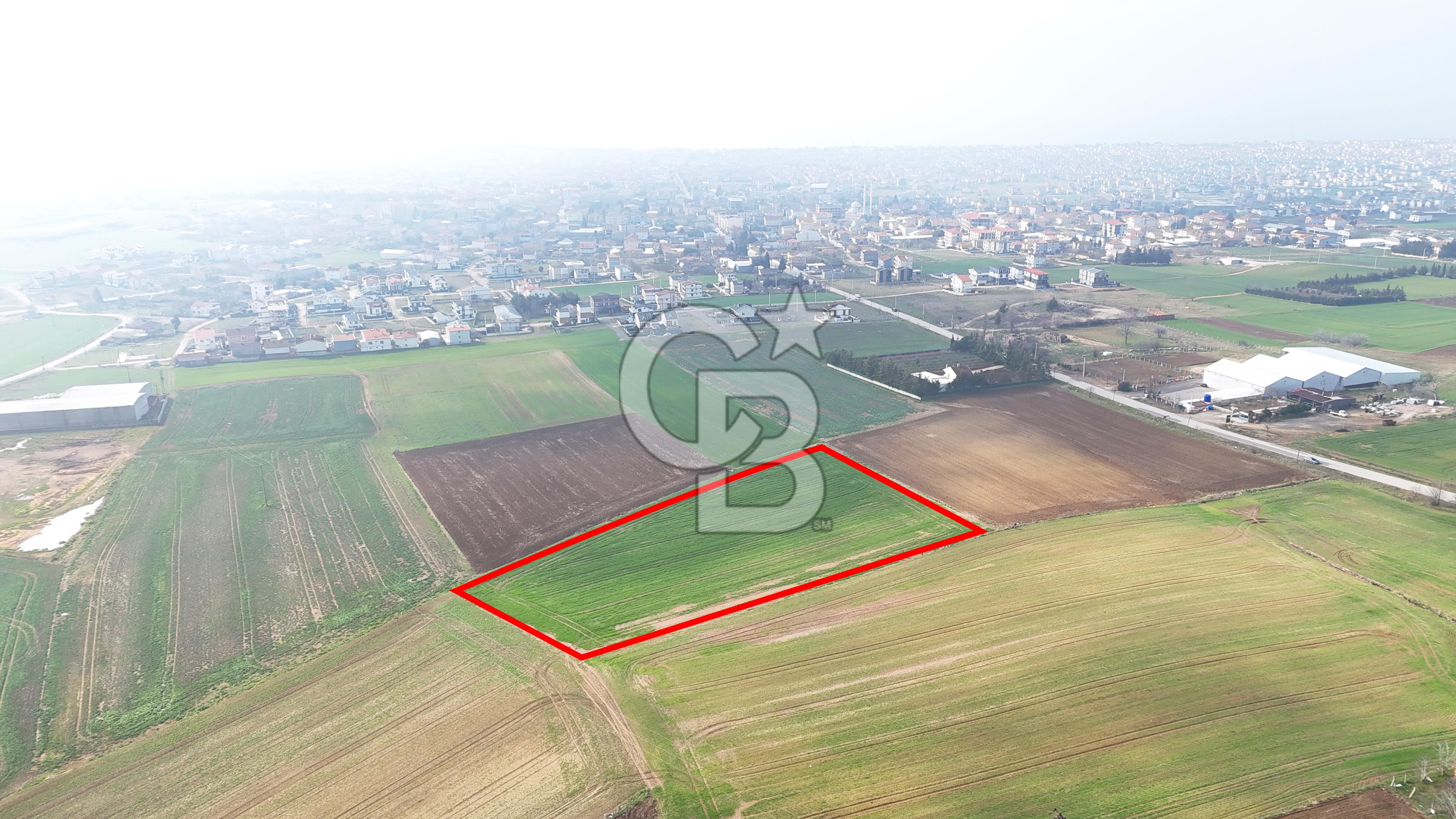 Marmaraereğlisi/Yeniçiftlik’te Tek Tapu Satılık Tarla