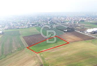 Marmaraereğlisi/Yeniçiftlik’te Tek Tapu Satılık Tarla