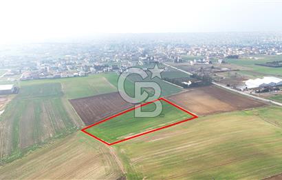 Marmaraereğlisi/Yeniçiftlik’te Tek Tapu Satılık Tarla