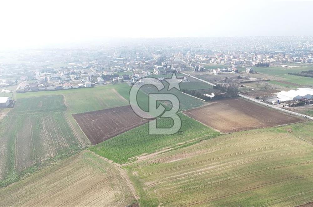 Marmaraereğlisi/Yeniçiftlik’te Tek Tapu Satılık Tarla