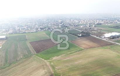 Marmaraereğlisi/Yeniçiftlik’te Tek Tapu Satılık Tarla