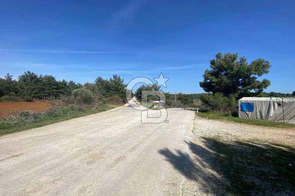 ÇANAKKALE CİVLER KÖYÜ BAĞ EVİ YAPIMINA UYGUN SATILIK ARAZİ