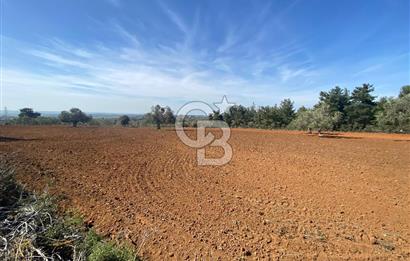 ÇANAKKALE CİVLER KÖYÜ BAĞ EVİ YAPIMINA UYGUN SATILIK ARAZİ