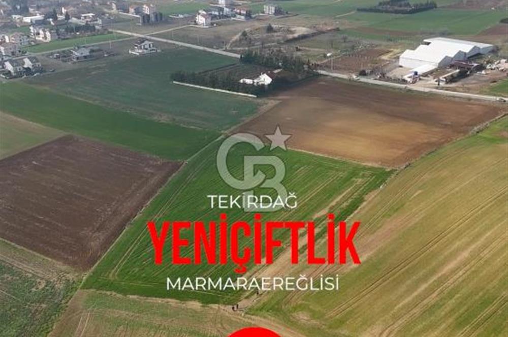 Marmaraereğlisi/Yeniçiftlik’te Tek Tapu Satılık Tarla
