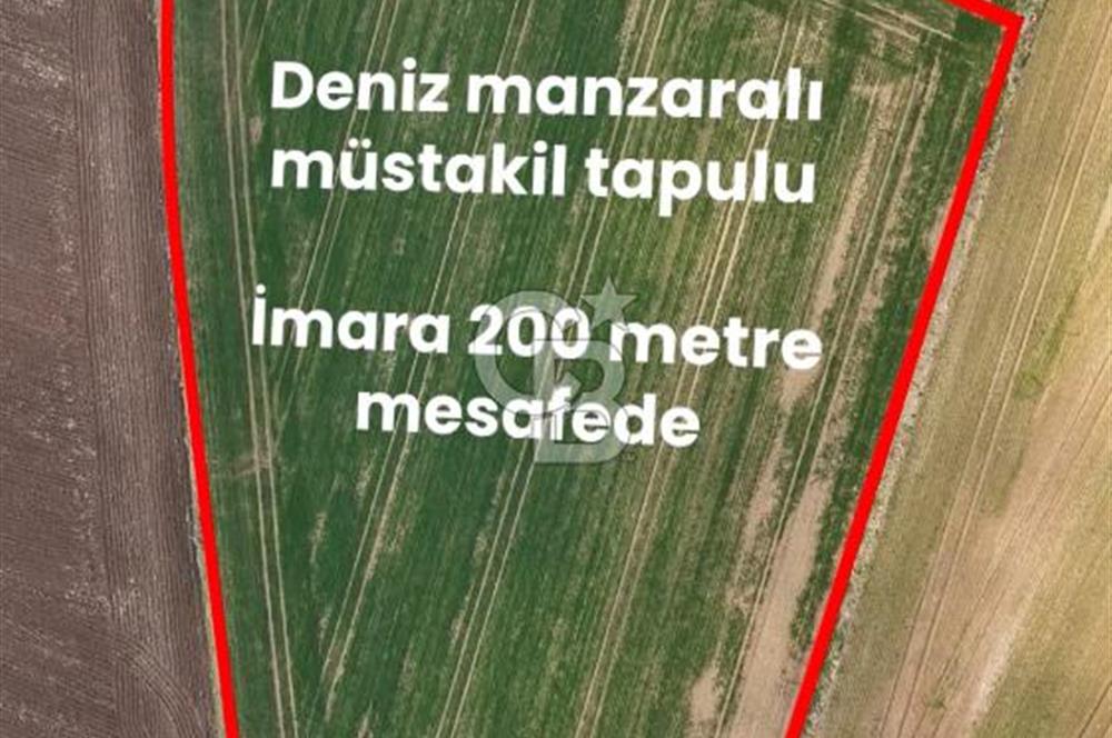 Marmaraereğlisi/Yeniçiftlik’te Tek Tapu Satılık Tarla