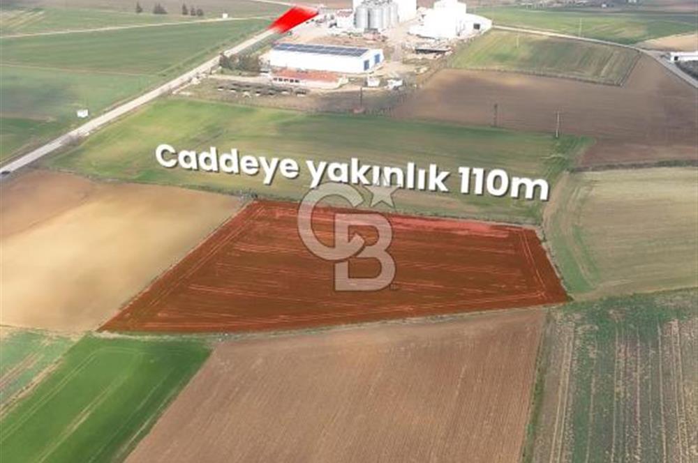 Marmaraereğlisi/Yeniçiftlik’te Tek Tapu Satılık Tarla