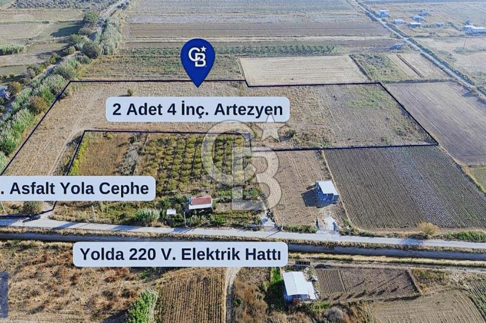 Anayola 400 m. 19.125 m2 Asfalta Cepheli Satılık Tarla