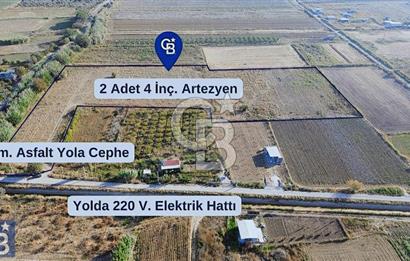 Anayola 400 m. 19.125 m2 Asfalta Cepheli Satılık Tarla