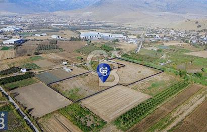 Anayola 400 m. 19.125 m2 Asfalta Cepheli Satılık Tarla