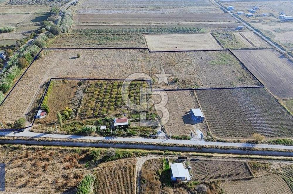 Anayola 400 m. 19.125 m2 Asfalta Cepheli Satılık Tarla