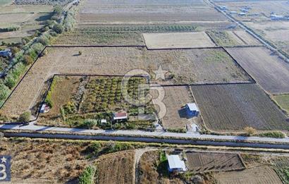 Anayola 400 m. 19.125 m2 Asfalta Cepheli Satılık Tarla