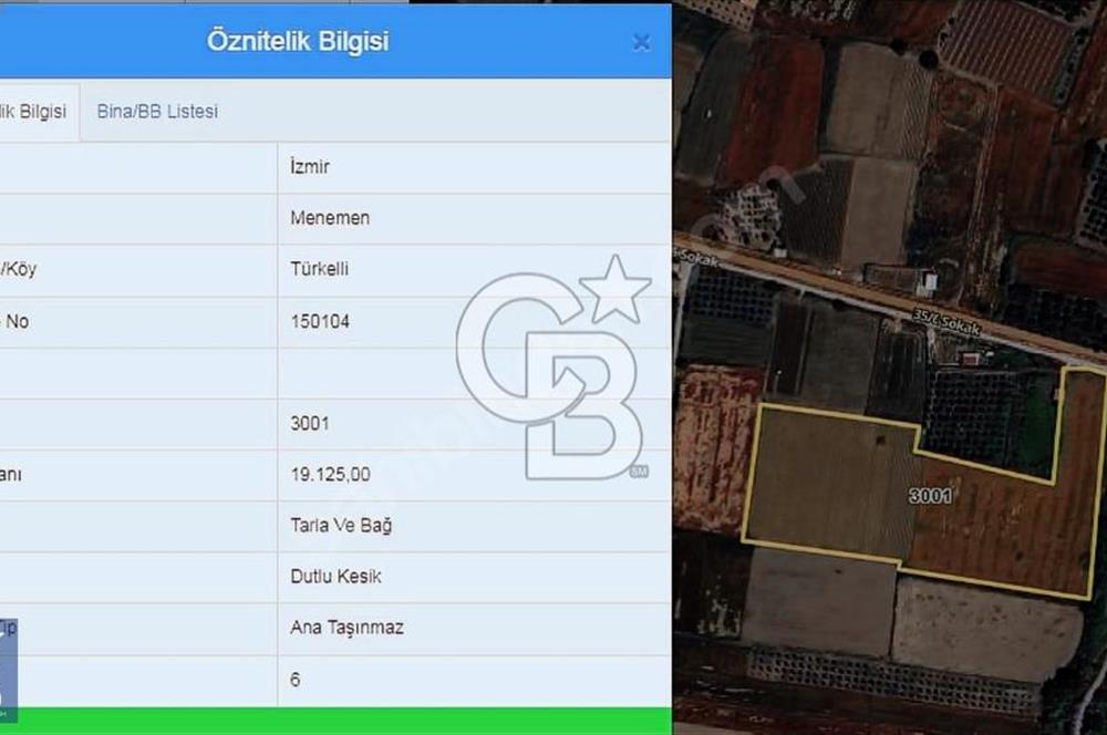 Anayola 400 m. 19.125 m2 Asfalta Cepheli Satılık Tarla
