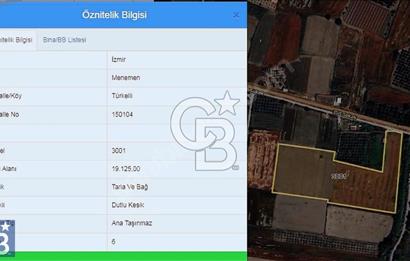 Anayola 400 m. 19.125 m2 Asfalta Cepheli Satılık Tarla